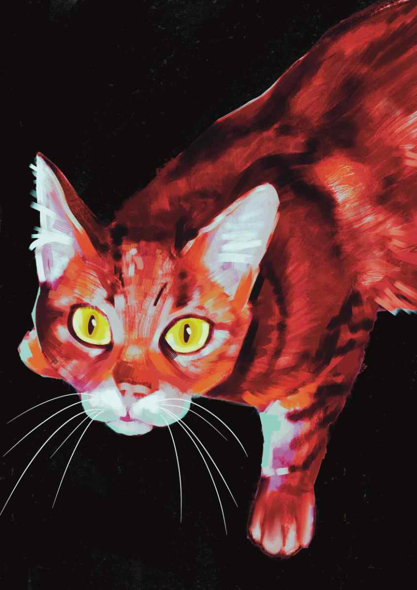 "Gata roja"